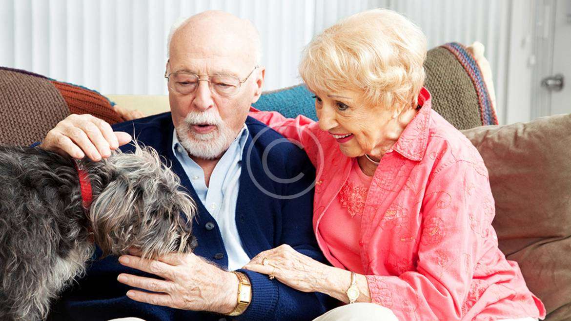 กองช่างสุขาภิบาล